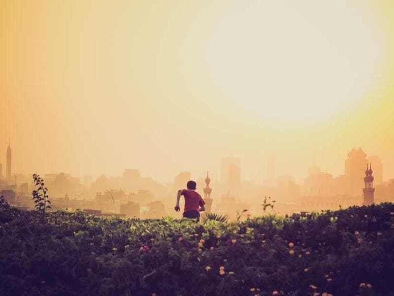 Before photo of fences